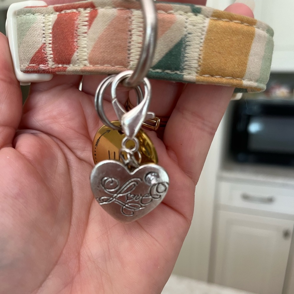❤️Silver pet collar charm